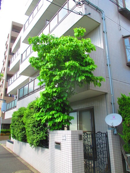 ジュネス久が原外観写真
