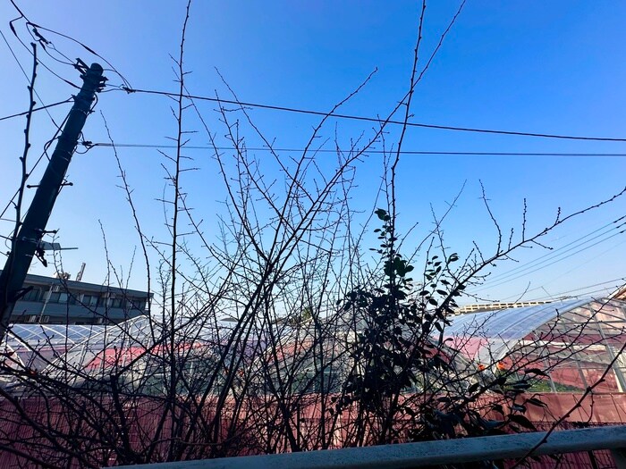 物件内観写真22　(室内からの展望)