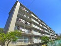 鎌ヶ谷グリーンハイツ5号棟(503)