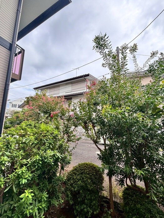 物件内観写真15　(室内からの展望)