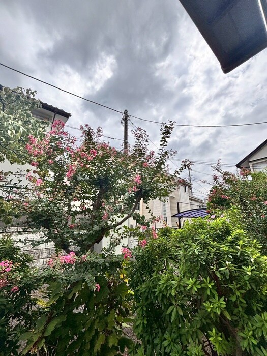 物件内観写真15　(室内からの展望)