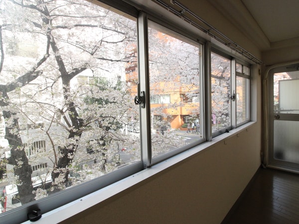 室内からの展望
