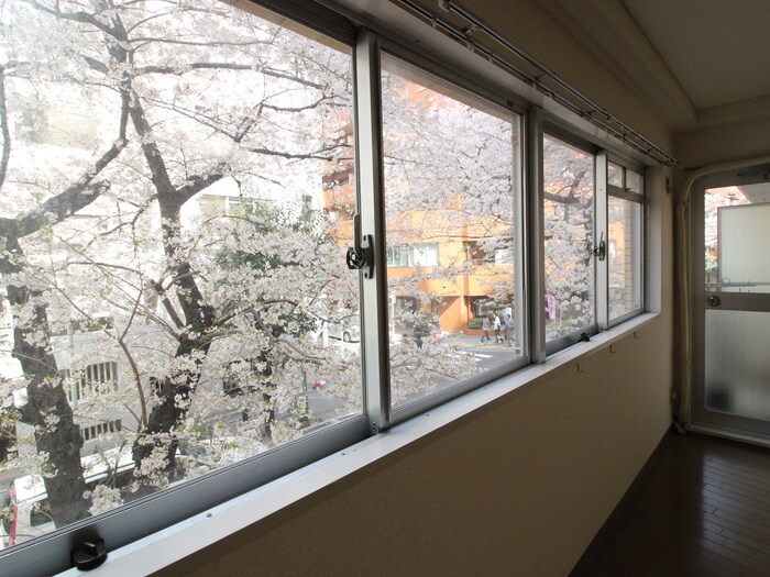 物件内観写真13　(室内からの展望)