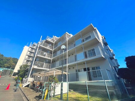 ﾊﾟｲﾛｯﾄﾊｳｽ･ｻﾝ戸塚(308)外観写真