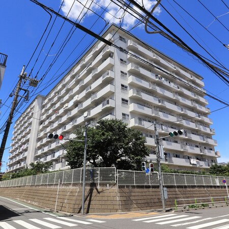ﾊﾟｼﾌｨｯｸ武蔵野台ﾆｭｰﾊｲﾂ(817)外観写真