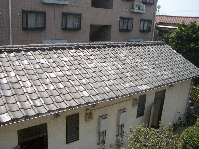 サニーフラットサマタ