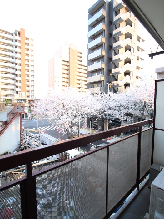 物件内観写真16　(周辺環境)