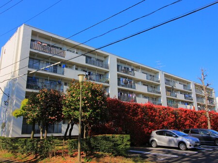 向原第二住宅４号棟（503）外観写真