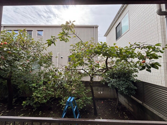 物件内観写真22　(室内からの展望)