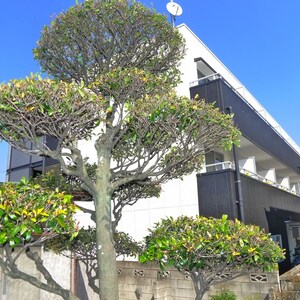 イセハンアパ－トメント外観写真
