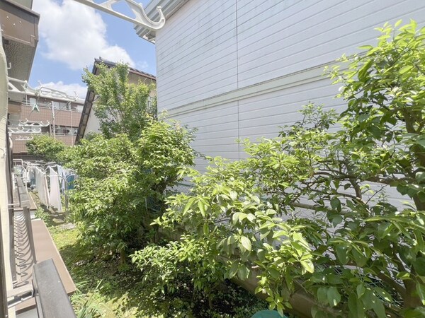 室内からの展望