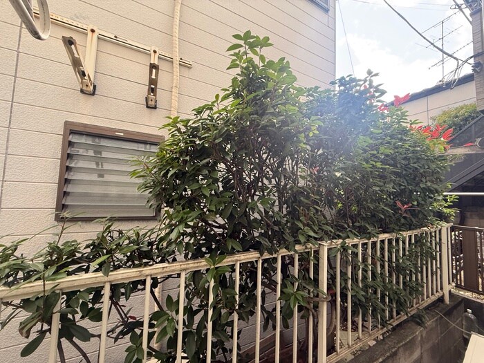 物件内観写真16　(室内からの展望)