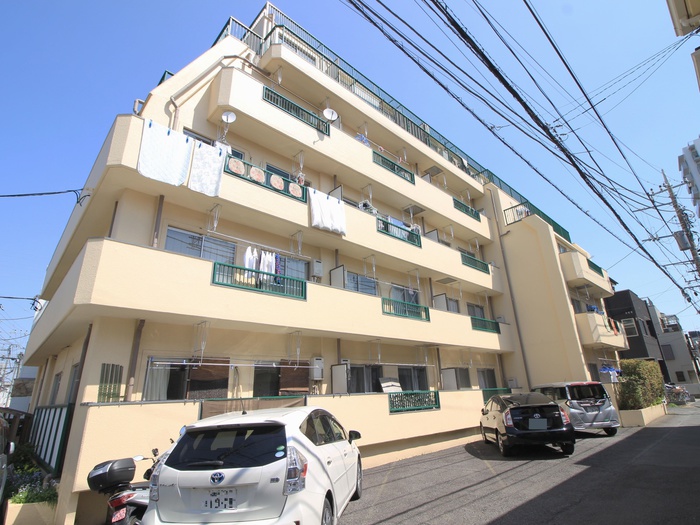 朝霞チェリ－(203)