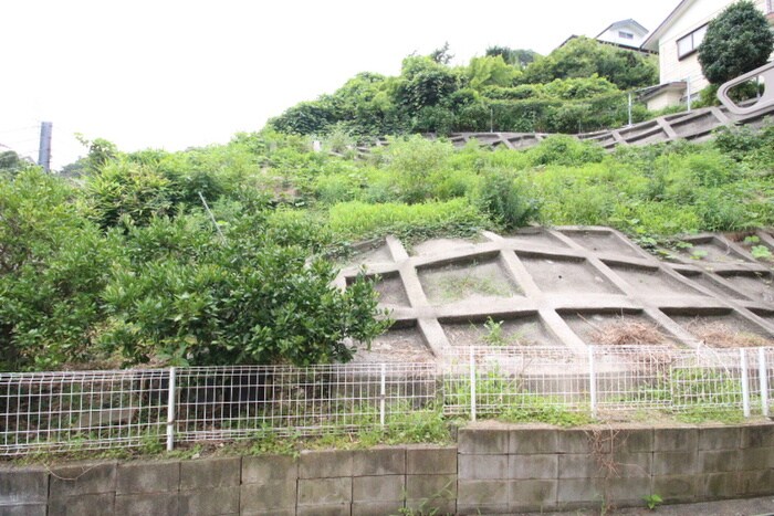 物件内観写真17　(室内からの展望)