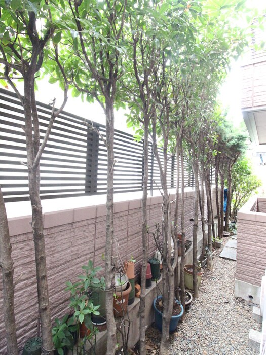 物件内観写真22　(室内からの展望)