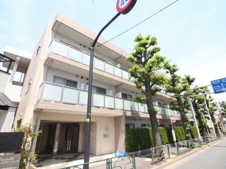 ラフィスタ中野鷺宮(305)外観写真
