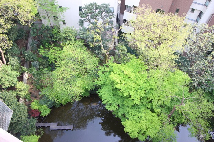 物件内観写真21　(室内からの展望)