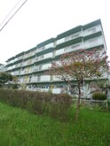 東新井団地１７号棟（４０４）