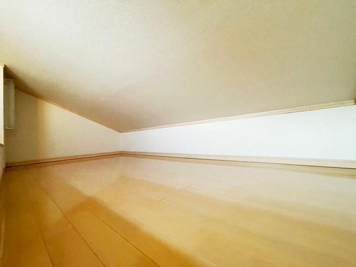 物件内観写真19　(ロフト)