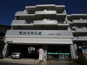 クリスタル　アライ　919