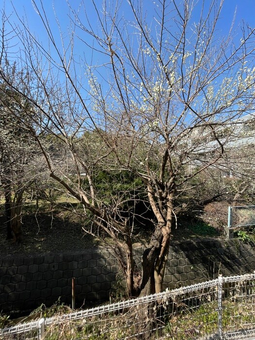 物件内観写真15　(室内からの展望)