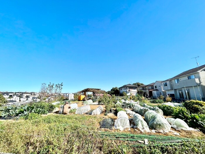 物件内観写真17　(室内からの展望)