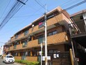 ﾗｲｵﾝｽﾞﾏﾝｼｮﾝ登戸第３(305)