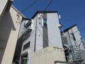 モンステラ高田A