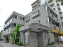 黄楊の木コート