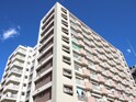 根岸ﾀﾞｲﾔﾓﾝﾄﾞﾏﾝｼｮﾝ(412)