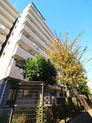 エクセル大宮東2番館（804）外観写真