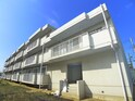 大金平ハイツ