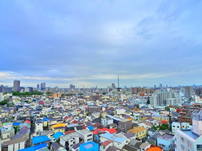 物件内観写真21　(室内からの展望)