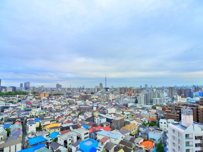 物件内観写真22　(室内からの展望)