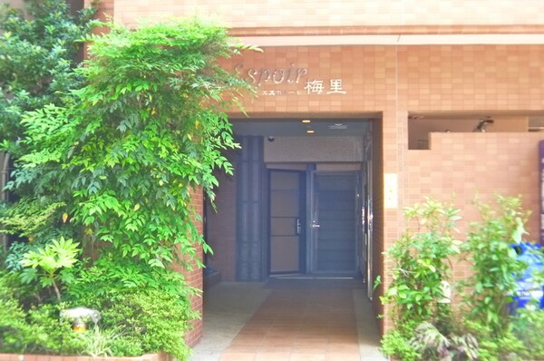 エントランス部分