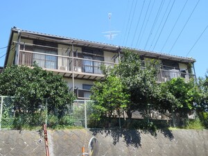 井上ハイツ外観写真