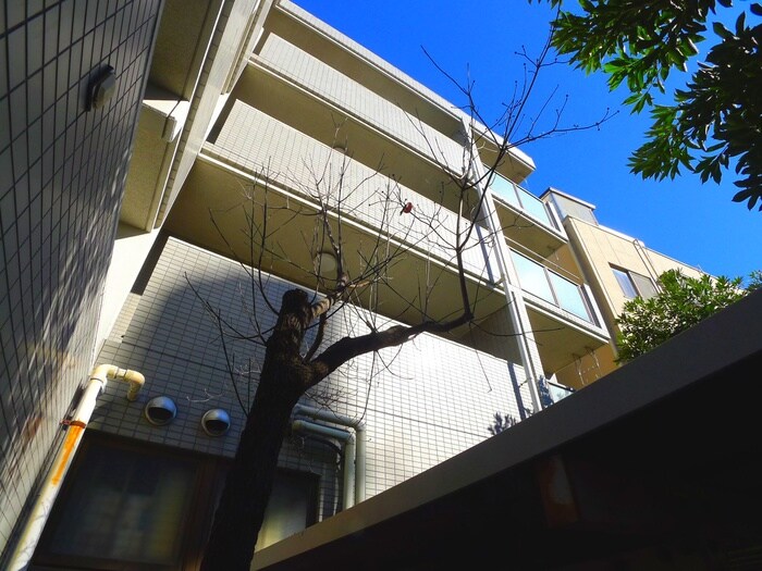 物件外観写真4　(外観写真)