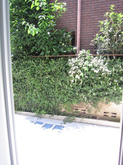 物件内観写真17　(室内からの展望)