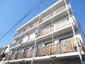 ステラマリス