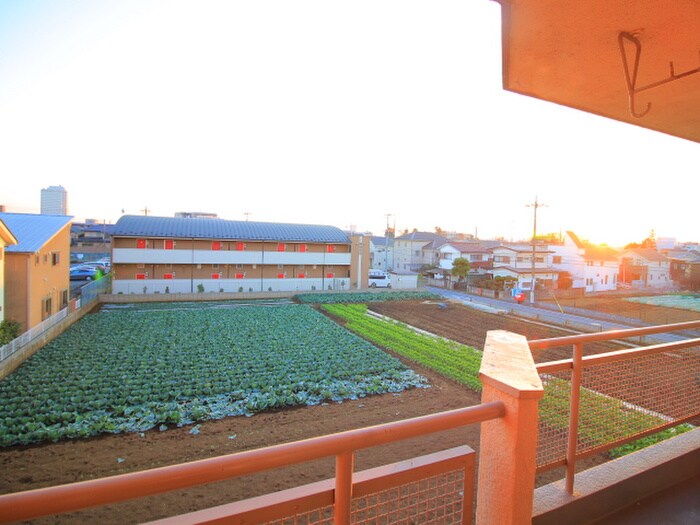 物件内観写真14　(室内からの展望)