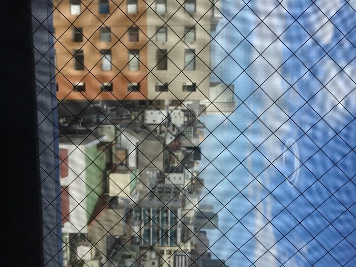 物件内観写真12　(室内からの展望)