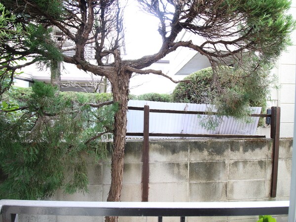 室内からの展望