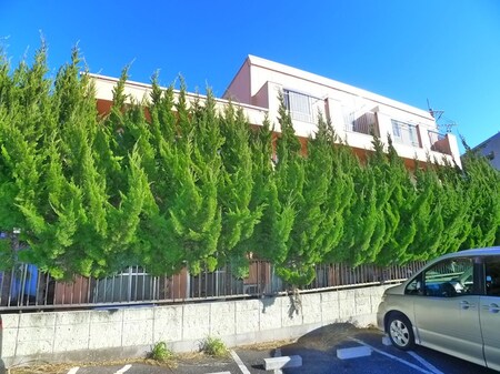 サンハウス青木外観写真