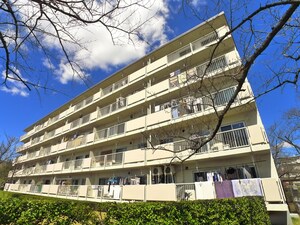 高洲第一団地８号棟（５０１）外観写真