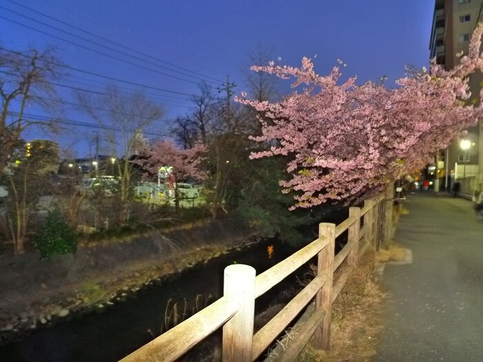 物件外観写真3　(周辺環境)