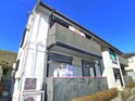 ペアーブラッサムＰ