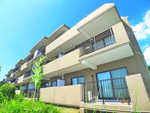 オーベル新柏（２１１）外観写真