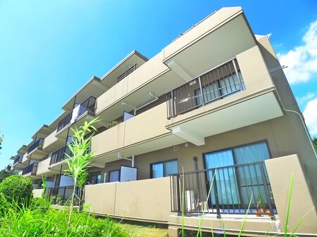 オーベル新柏（２１１）外観写真