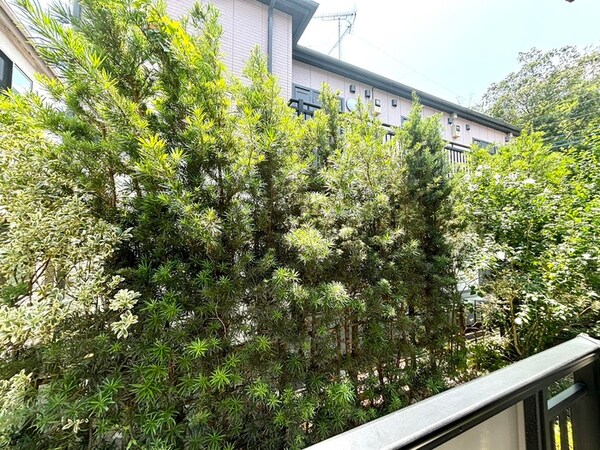 室内からの展望