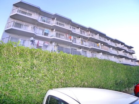 パイロットハウス柏（３０３）外観写真